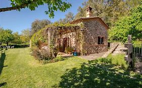 Huerto Los Castaños